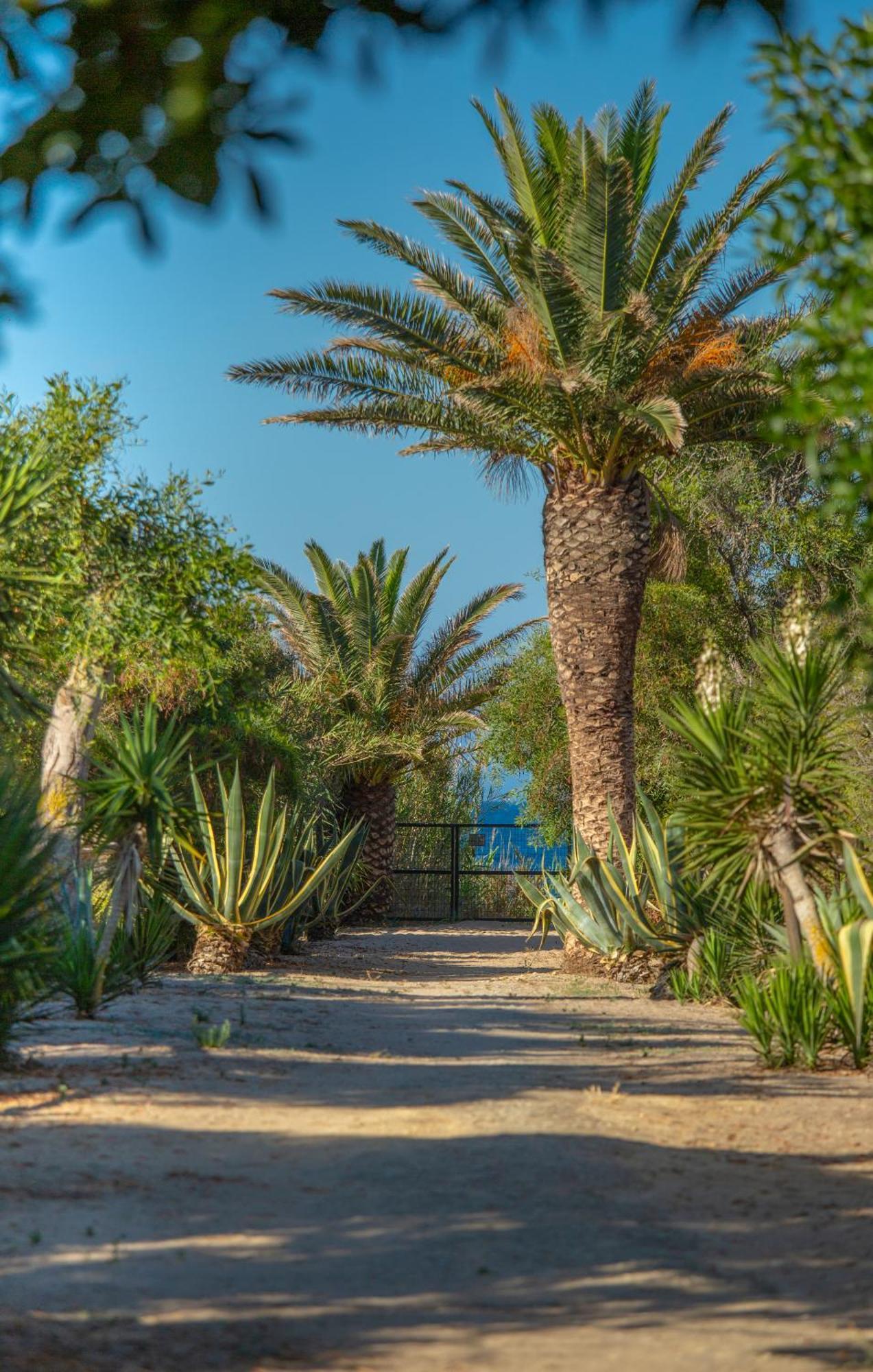 Casara Cinco - Hermosa Casa Con Vista Al Mar Y Acceso Privado A La Playa Zahora Buitenkant foto